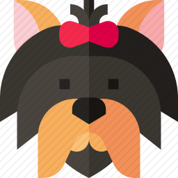 <em>约克郡</em>犬