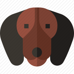腊肠犬