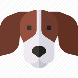 比格犬