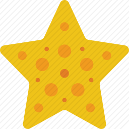 海星