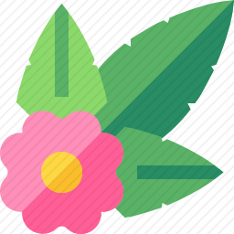 花朵