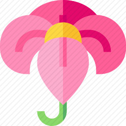 花朵