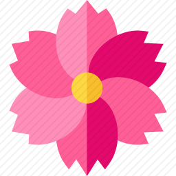 花朵