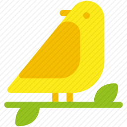 鸟