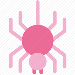 <em>蜘蛛</em>