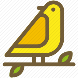 鸟