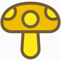 蘑菇