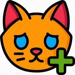 猫咪