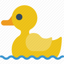 鸭子