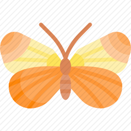 <em>蝴蝶</em>