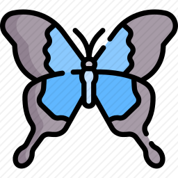 <em>蝴蝶</em>