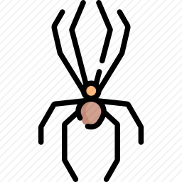 <em>狼</em><em>蛛</em>
