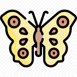 <em>蝴蝶</em>