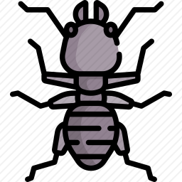 蝼蛄