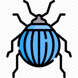<em>甲虫</em>