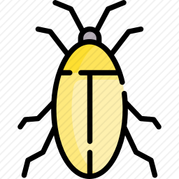 <em>蟑螂</em>