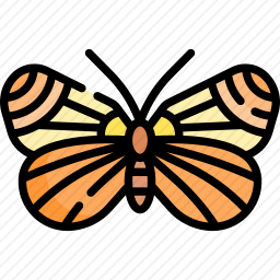 <em>蝴蝶</em>