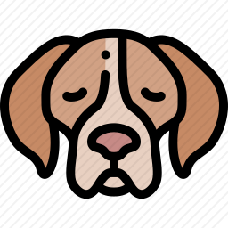 <em>猎犬</em>