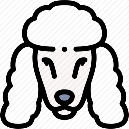 贵宾犬
