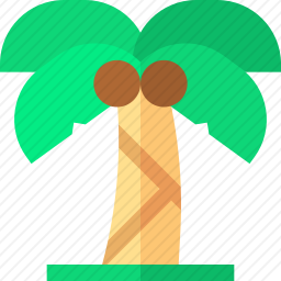 棕榈树