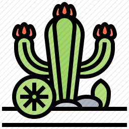仙人掌