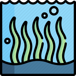 海藻