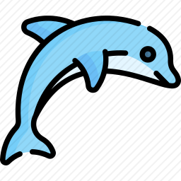 海豚