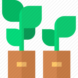 植物