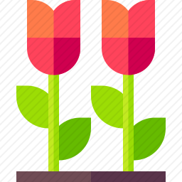<em>玫瑰</em>