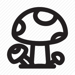 <em>蘑菇</em>