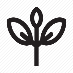 树