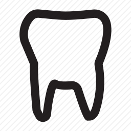 <em>牙齿</em>