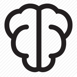 <em>大脑</em>