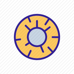 <em>菠萝</em>