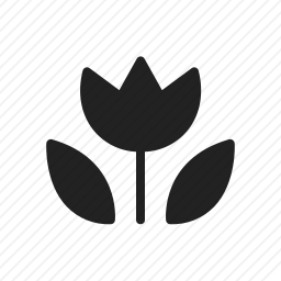 <em>花生</em>