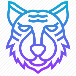 <em>老虎</em>