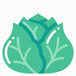 <em>白菜</em>