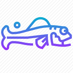 鱼