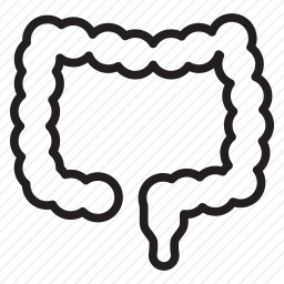 <em>大肠</em>