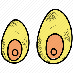 <em>牙齿</em>