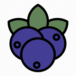 <em>蓝莓</em>