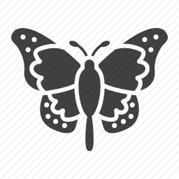 <em>蝴蝶</em>