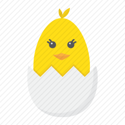 小鸡