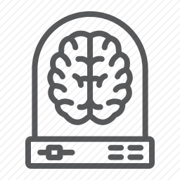 <em>神经</em>
