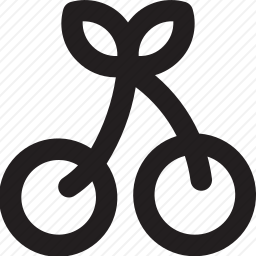 <em>樱桃</em>