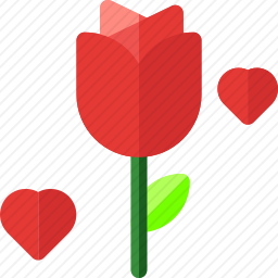 <em>玫瑰</em>