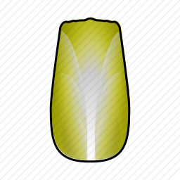 <em>白菜</em>