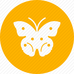 <em>蝴蝶</em>