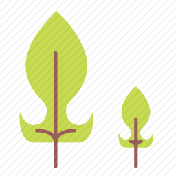 树