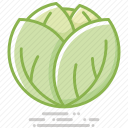 <em>白菜</em>